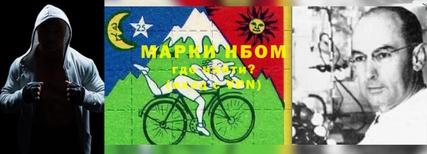 хмурый Дмитровск