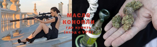 хмурый Дмитровск