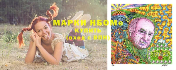 хмурый Дмитровск