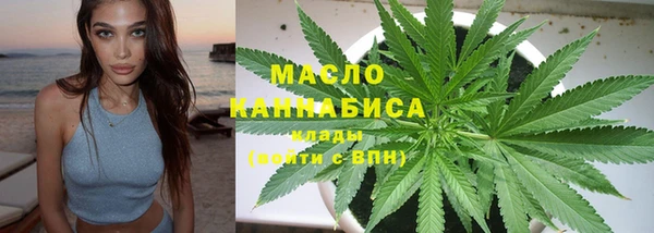 хмурый Дмитровск