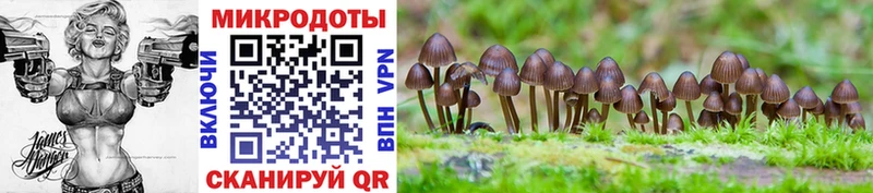 Галлюциногенные грибы Psilocybine cubensis  где можно купить   Облучье 